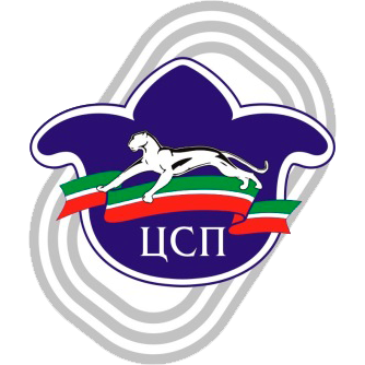 ЦСП РТ